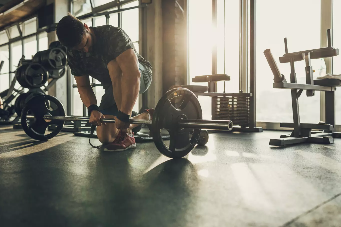 Musculation